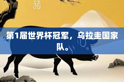 第1届世界杯冠军，乌拉圭国家队。