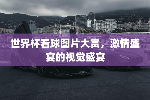 世界杯看球图片大赏，激情盛宴的视觉盛宴