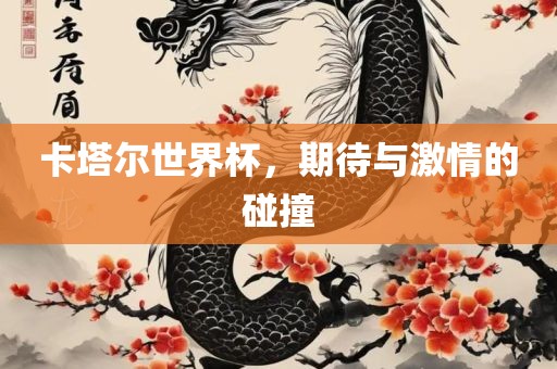 卡塔尔世界杯，期待与激情的碰撞