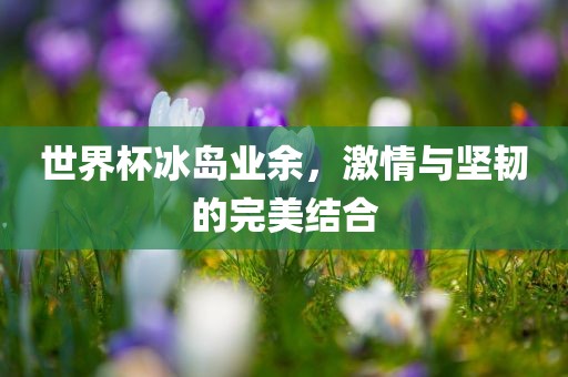 世界杯冰岛业余，激情与坚韧的完美结合