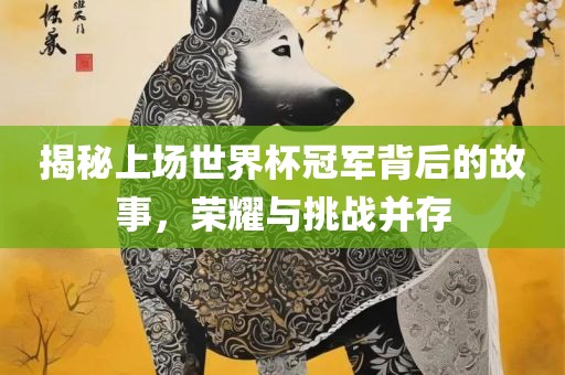 揭秘上场世界杯冠军背后的故事，荣耀与挑战并存