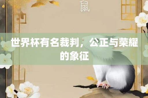 世界杯有名裁判，公正与荣耀的象征