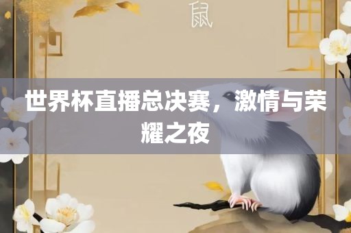 世界杯直播总决赛，激情与荣耀之夜